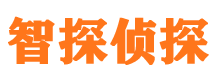 武城市调查公司